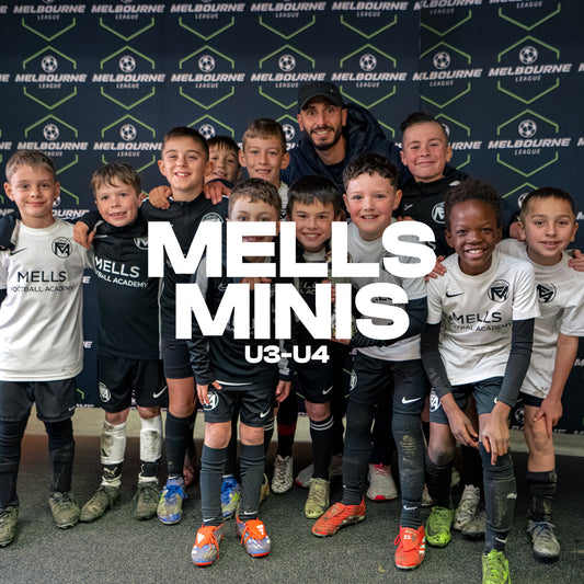 MFA Minis (age 3-4) Term 4