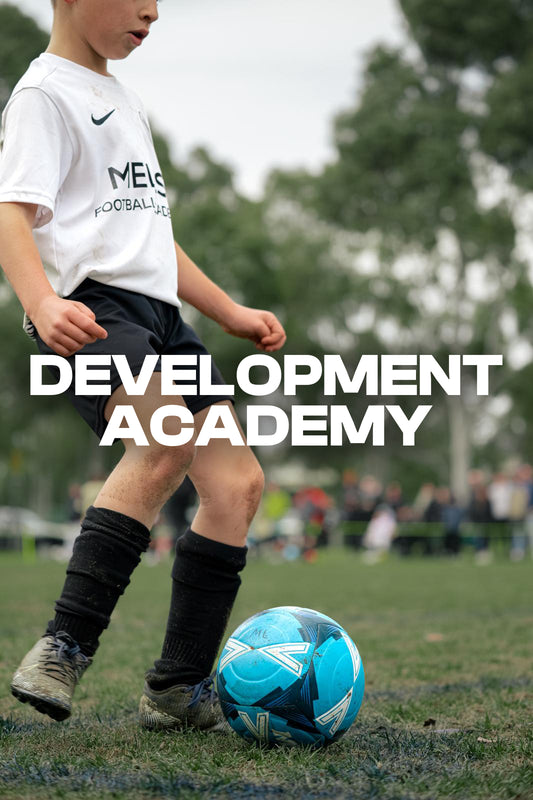 Development Academy (Term 4)